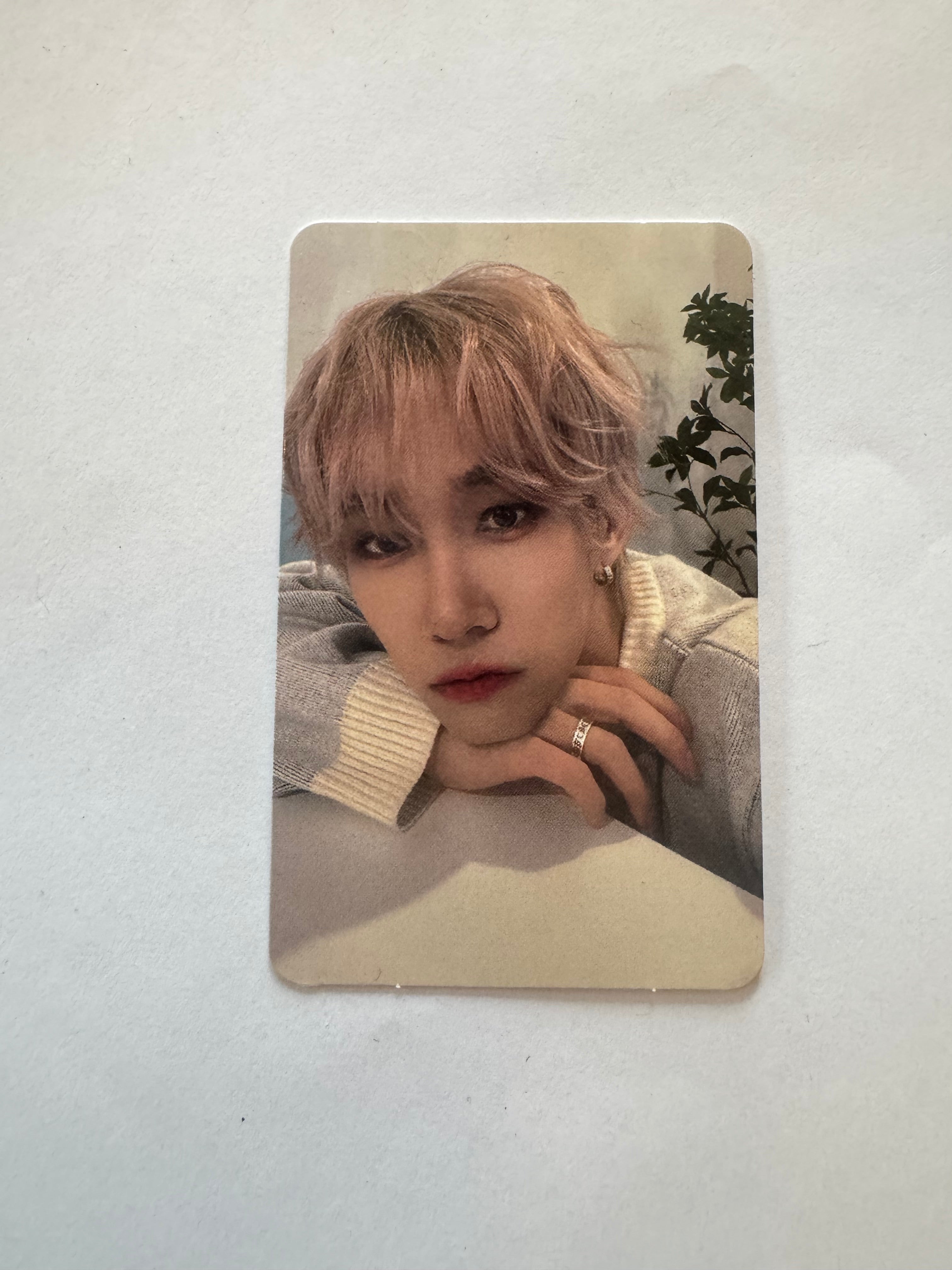 STUDIO L SEONGJEONG PHOTOCARDS