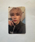 STUDIO L SEONGJEONG PHOTOCARDS