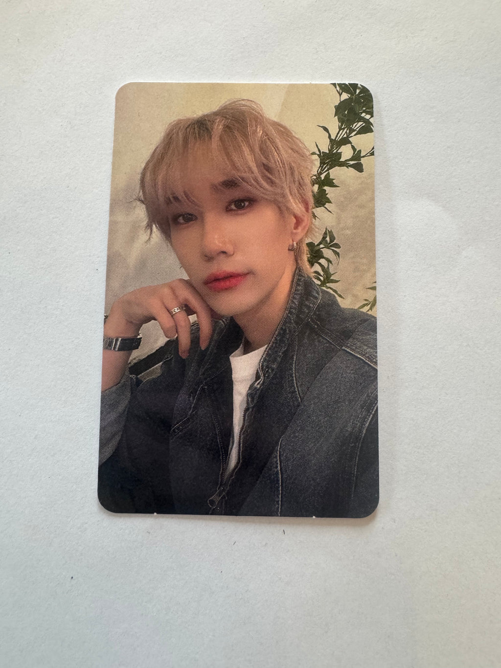 STUDIO L SEONGJEONG PHOTOCARDS