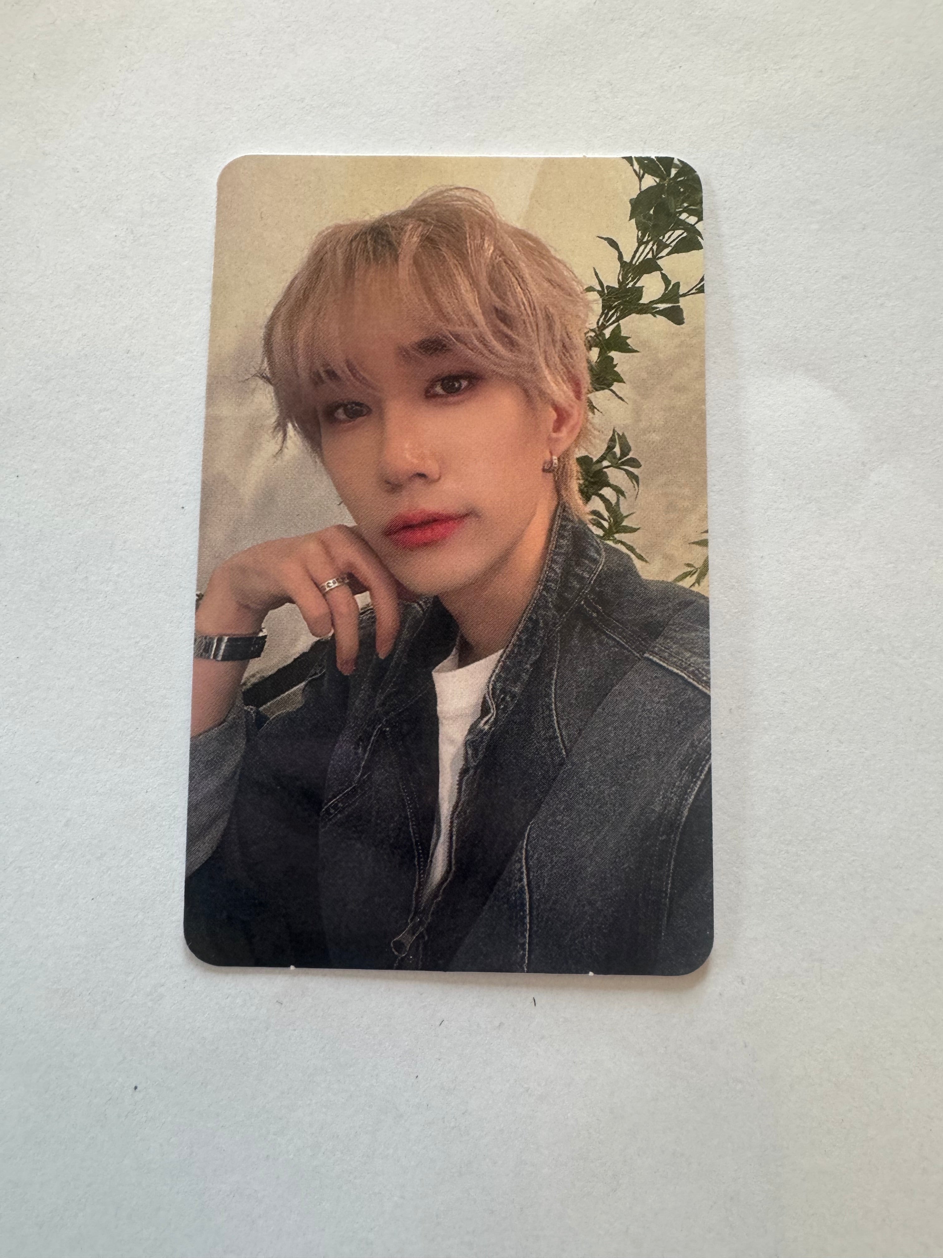 STUDIO L SEONGJEONG PHOTOCARDS